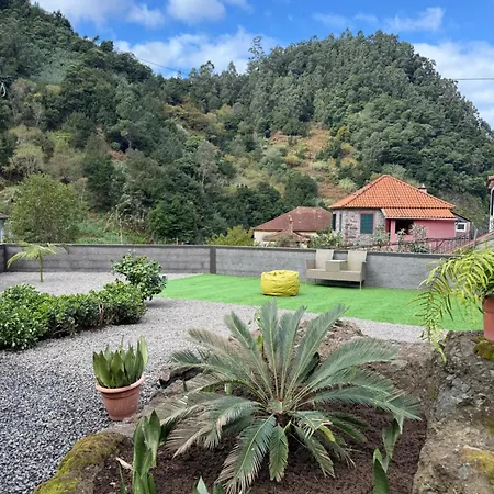 Roots - A * Sao Vicente (Madeira)